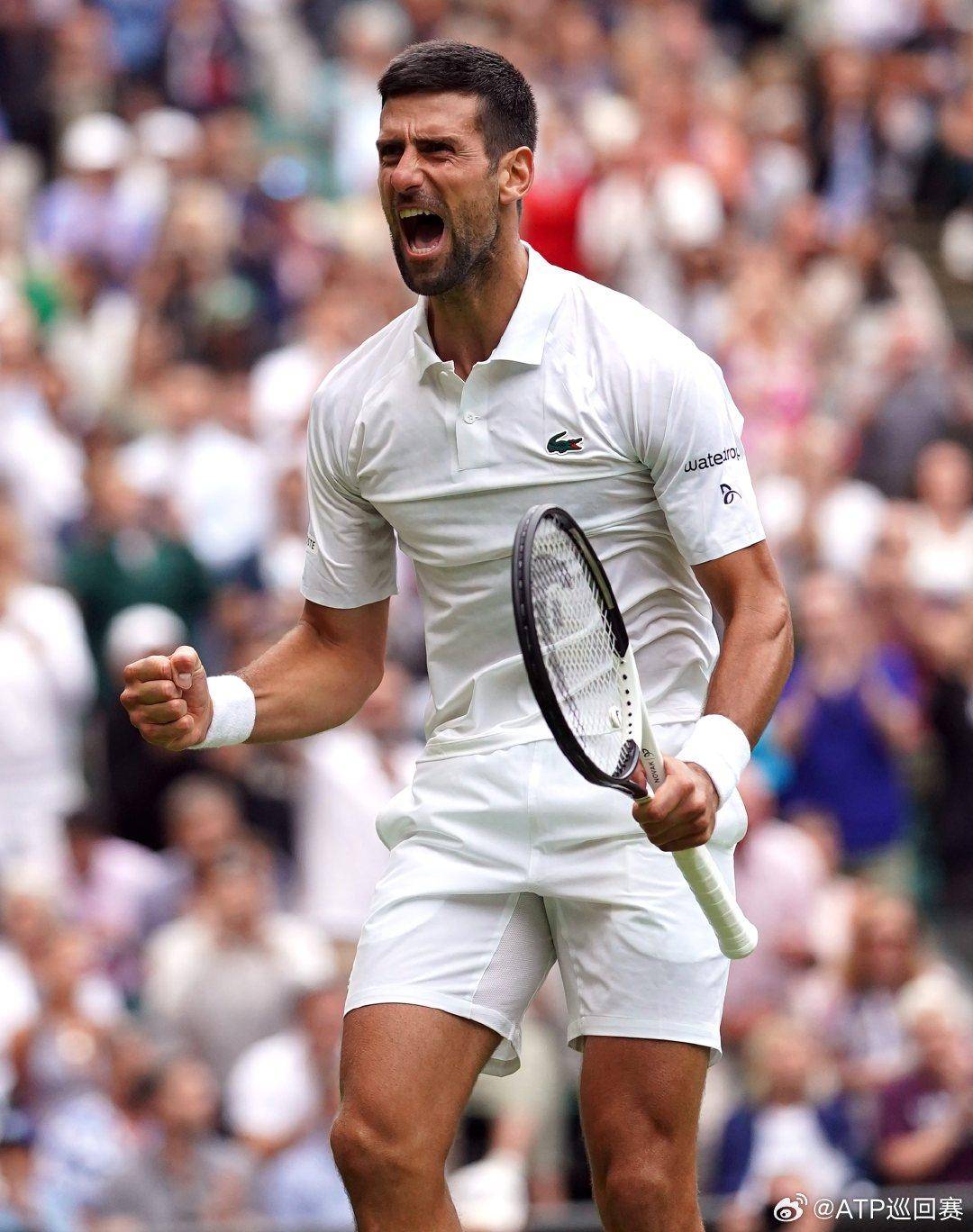 也成为无数 也成为无数